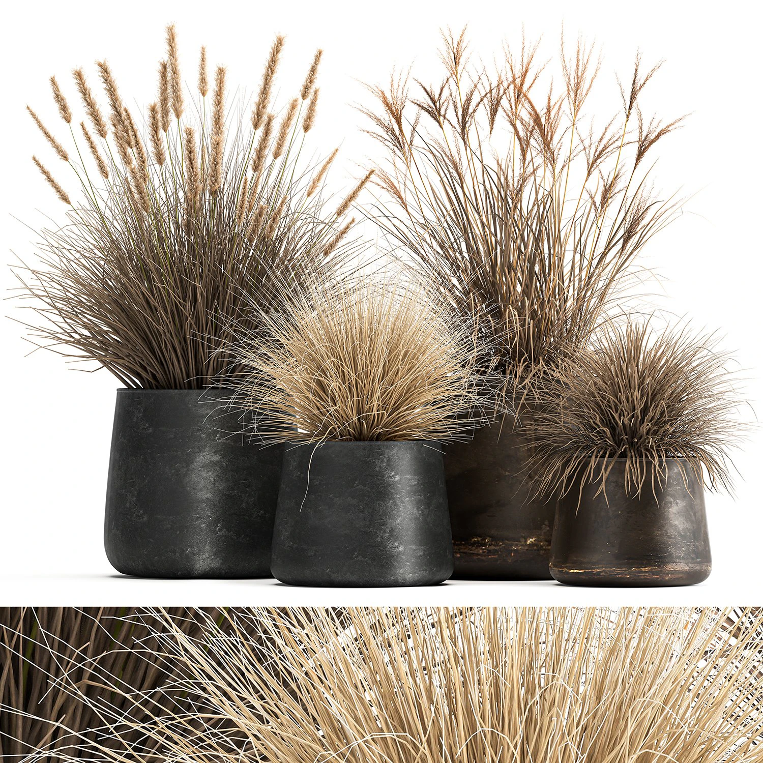 dried reeds in a rusty flowerpot for the interior 1058 3D Model .c4d .max .obj .3ds .fbx .stl .blend 