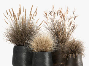 dried reeds in a rusty flowerpot for the interior 1058 3D Model