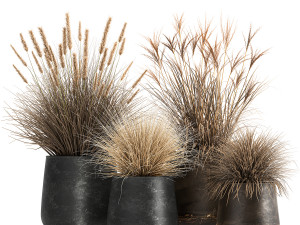 dried reeds in a rusty flowerpot for the interior 1058 3D Модель