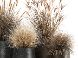 dried reeds in a rusty flowerpot for the interior 1058 3D Модель