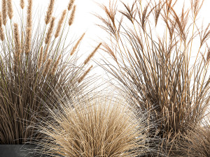 dried reeds in a rusty flowerpot for the interior 1058 3D Модель