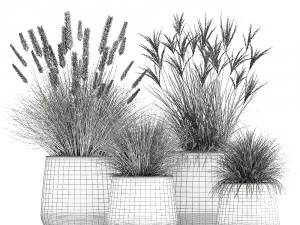 dried reeds in a rusty flowerpot for the interior 1058 3D Model