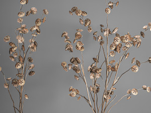 bouquet of dried branches in a glass vase 184 3D Model
