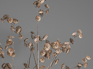 bouquet of dried branches in a glass vase 184 3D Model