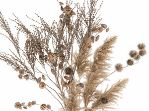 bouquet of dried flowers in a vase 185 Model 3D