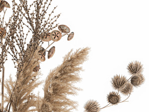 bouquet of dried flowers in a vase 185 Model 3D