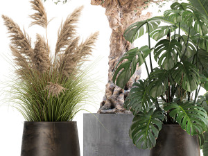 ornamental plants for landscape design 1060 3D-Modell