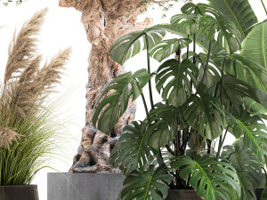 ornamental plants for landscape design 1060 3D-Modell