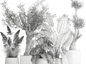 ornamental plants for landscape design 1060 3D-Modell