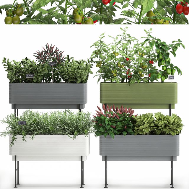 vegetable garden in the kitchen 1059 3D Model .c4d .max .obj .3ds .fbx .stl .blend 