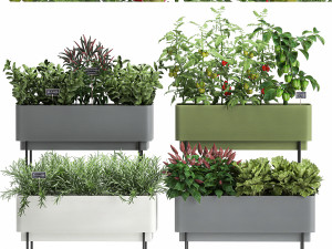 vegetable garden in the kitchen 1059 3D Model