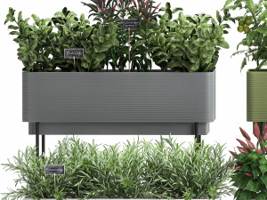vegetable garden in the kitchen 1059 3D Model