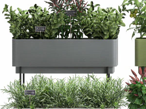 vegetable garden in the kitchen 1059 3D Model