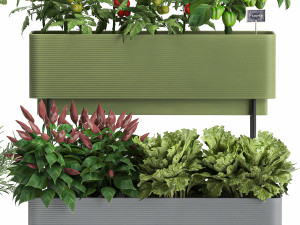vegetable garden in the kitchen 1059 3D Model