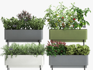 vegetable garden in the kitchen 1059 3D Model