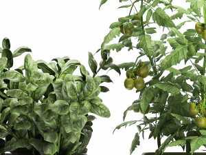 vegetable garden in the kitchen 1059 3D Model