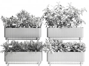 vegetable garden in the kitchen 1059 3D Model