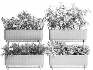 vegetable garden in the kitchen 1059 3D Model