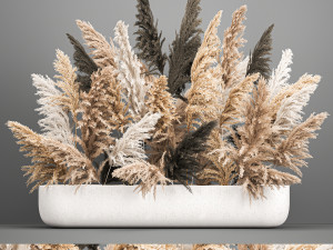 bouquet of dried reeds in a vase 186 Modèle 3D