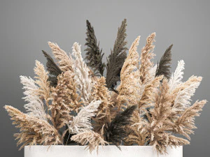 bouquet of dried reeds in a vase 186 3D Model