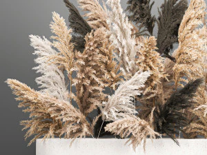 bouquet of dried reeds in a vase 186 3D Model