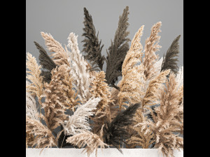 bouquet of dried reeds in a vase 186 3D 모델