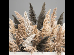 bouquet of dried reeds in a vase 186 3D Model