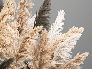 bouquet of dried reeds in a vase 186 3D 모델