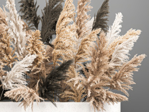 bouquet of dried reeds in a vase 186 3D 모델