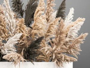 bouquet of dried reeds in a vase 186 3D Model