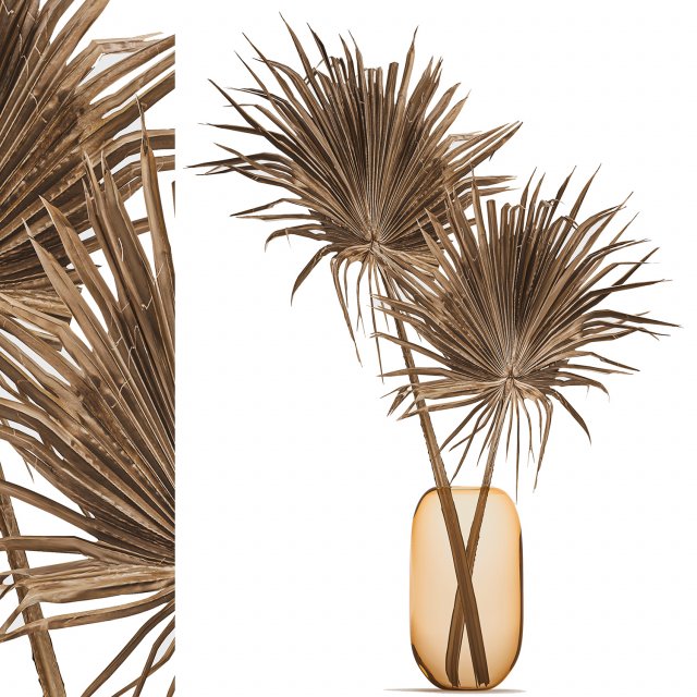 bouquet of dry palm leaves 187 3D मॉडल .c4d .max .obj .3ds .fbx .stl .blend 