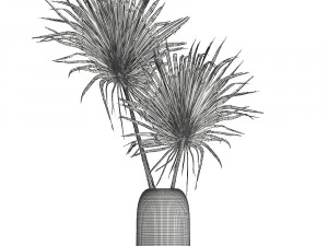 bouquet of dry palm leaves 187 3D Model