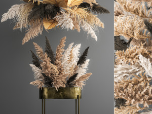 hanging decor of their dried pampas grass 188 3D Model
