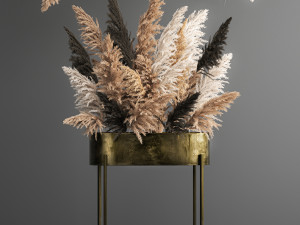 hanging decor of their dried pampas grass 188 3D Model