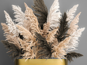 decorative bouquet of dried pampas grass 189 Modèle 3D