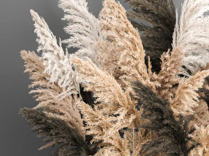 decorative bouquet of dried pampas grass 189 3D Model