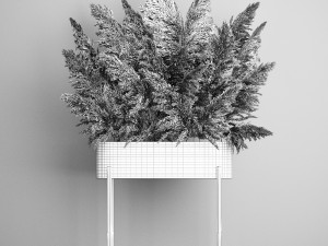 decorative bouquet of dried pampas grass 189 Modèle 3D