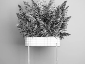 decorative bouquet of dried pampas grass 189 3D Model