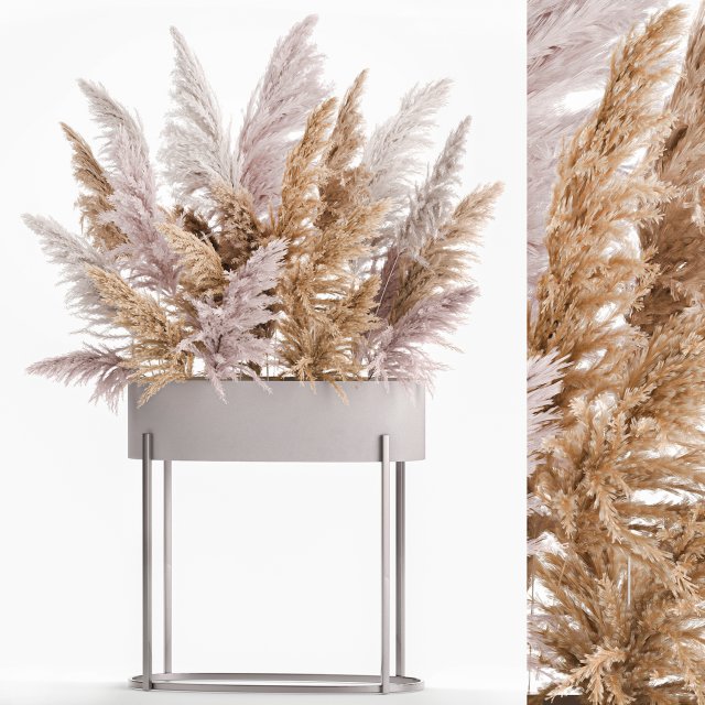 decorative bouquet of dried pampas grass 190 3D Model .c4d .max .obj .3ds .fbx .stl .blend 
