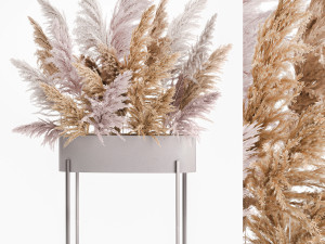decorative bouquet of dried pampas grass 190 Modelo 3D