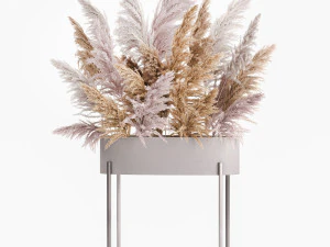 decorative bouquet of dried pampas grass 190 3D Model