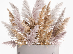 decorative bouquet of dried pampas grass 190 3D Model