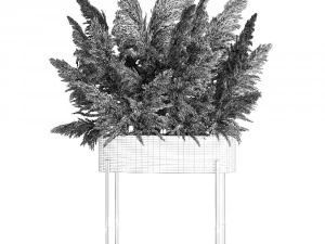decorative bouquet of dried pampas grass 190 3D Model