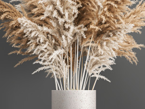 decorative bouquet of dried pampas grass 192 3Dモデル