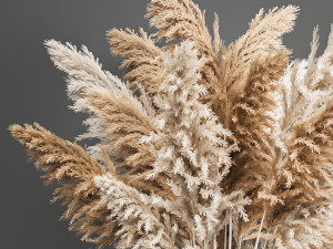 decorative bouquet of dried pampas grass 192 3Dモデル