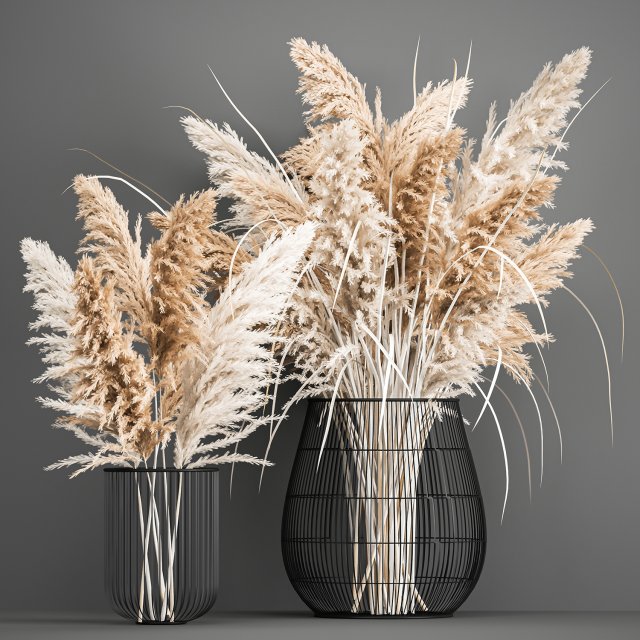 decorative bouquet of dried pampas grass 193 3D 模型 .c4d .max .obj .3ds .fbx .stl .blend 