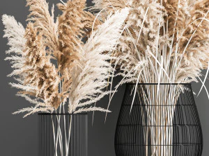 decorative bouquet of dried pampas grass 193 3D Model