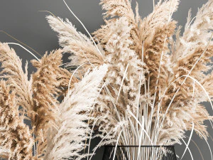 decorative bouquet of dried pampas grass 193 3D Model