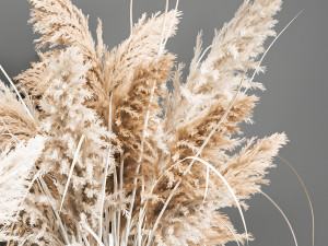 decorative bouquet of dried pampas grass 193 3D 模型