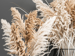 decorative bouquet of dried pampas grass 193 3D 模型